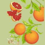 essential_oils_bloodorange1