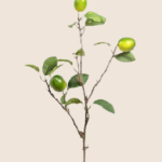 essential_oils_lime1